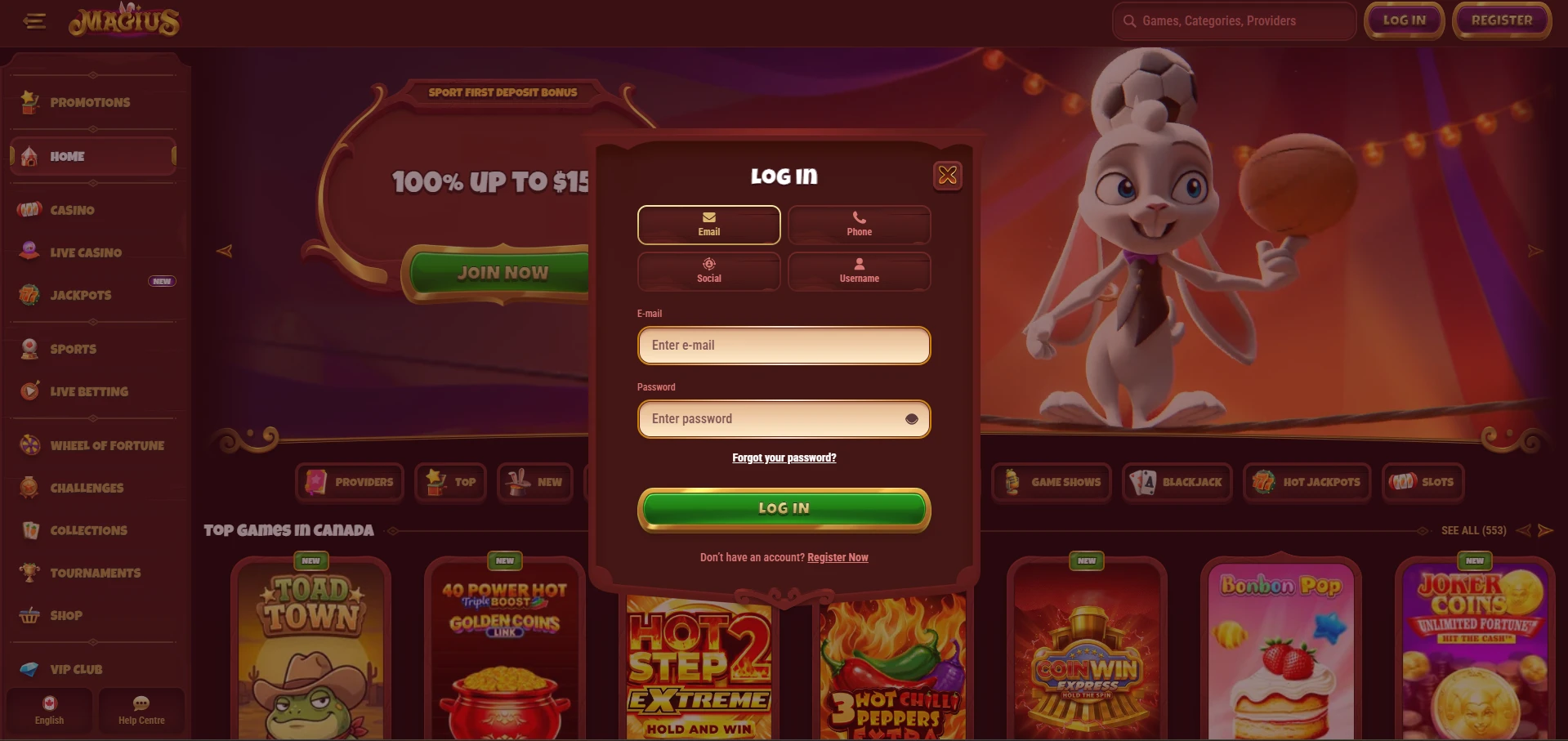 Screenshot of Magius login page